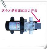 正品普兰迪 12V直流隔膜泵自吸泵微型水泵家用自吸抽水泵小水泵