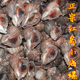 青岛红岛野生当地特产小海螺鲜活海鲜贝类海鲜大咖海鲜蒸锅