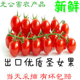 【小伟】新鲜圣女果山东特产圣女果千禧红樱桃小番茄孕妇水果2斤
