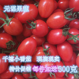 云南新鲜水果西红柿  樱桃小番茄  小西红柿 千禧圣女果5斤装