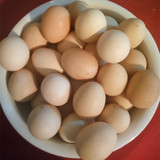 土鸡蛋农家散养新鲜包邮 草鸡蛋笨鸡蛋正宗土特产月子蛋