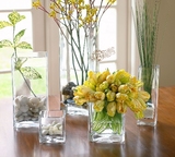 玻璃方缸正方形口长方形透明玻璃花瓶烛台摆件富贵竹婚庆路引包邮
