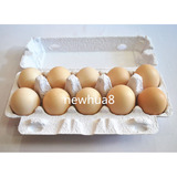 白色10枚纸浆鸡蛋盒土鸡蛋土鸭蛋包装盒养殖专用纯纸浆鸡蛋盒蛋托