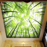 天花板吊顶壁纸定制大型壁画3d树林风景背景墙壁纸 田园树林壁纸