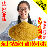 东北杂粮农家小米新米有机黄小米老人孕妇宝宝专用小黄米月子米