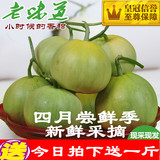 【果蔬码头】青岛新鲜水果有机甜瓜时令水果甜脆香瓜精选4斤包邮