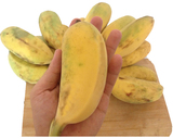 海南新鲜水果萍果蕉banana 芭蕉粉香蕉苹果米蕉 5斤装全国包邮
