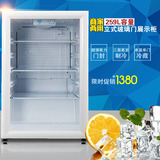 穗凌LG4-160冰柜冷柜家用商用立式饮料水果保鲜柜单门单温小冰柜