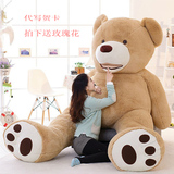 美国大熊毛绒玩具泰迪熊猫大号公仔抱抱熊生日礼物女生狗熊布娃娃