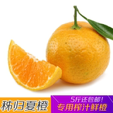 正宗秭归夏橙新鲜纯天然农家橙子孕妇水果榨汁脐橙五斤装特价包邮