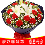 母亲节礼物康乃馨鲜花速递全国合肥广州郑州上海杭州南京同城送花