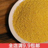 小黄米农家纯天然农副产品有机营养五谷杂粮月子新米熬出米油250g