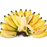 新鲜水果农家新鲜米蕉粉蕉糯米蕉水果香蕉无催熟剂皇帝蕉4斤包邮