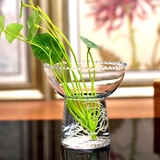 水仙风信子专用花瓶  绿萝 水培小花瓶 透明玻璃花器
