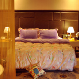 韩版珊瑚绒四件套加厚法兰绒冬季床单床裙1.5m/1.8米床法莱绒特价