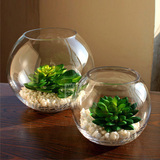 透明圆球玻璃花瓶送定植篮办公室内桌面绿植花卉绿萝水培植物花盆