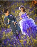 2015新款主题婚纱 情侣森系外景拍照服装 影楼婚纱紫色一字肩礼服