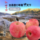 苹果水果平安果山西吉县壶口红富士苹果8斤包邮2015新鲜水果