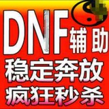 DNF 辅助 地下城 伙伴 纯阳 天狗 天书等周卡月卡!!
