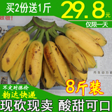 【特价】新鲜芭蕉 水果大蕉 广西大芭焦 非粉蕉香蕉皇帝蕉  包邮