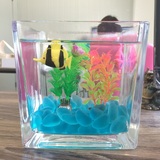 包邮方形玻璃鱼缸超白加厚迷你创意小鱼缸 办公室桌面鱼缸 送礼物