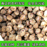 广西正宗特产农家新鲜脆甜马蹄荸荠绿色水果无渣农产品5斤大包邮