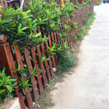 防腐木栅栏篱笆围栏碳化木护栏网格花架隔断庭院围栏户外园艺