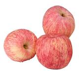 正宗山东烟台栖霞苹果水果新鲜红富士比阿克苏冰糖心80果径5斤装