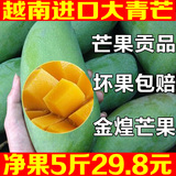 【农小二果园】新鲜水果越南进口芒果 大青芒金煌芒 芒果 5斤装