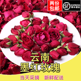 云南新鲜食用玫瑰花朵花苞鲜花茶叶墨红玫瑰袋装400g袋装顺丰包邮