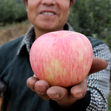 高山山东烟台栖霞大苹果水果新鲜阿克苏冰糖心有机纯天然85#10斤