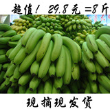 香蕉 新鲜水果 青香蕉高州特产有机食品 非米蕉海南芭蕉批发包邮