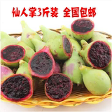 野生仙人掌果 仙人果 3斤装 海南水果新鲜热带水果特产 仙桃