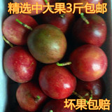 广西农家特产百香果西番莲鸡蛋果新鲜当季生鲜热带水果3斤包邮