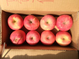 陕西红富士苹果 农家小苹果水果 新鲜 限时特价 红苹果 包邮