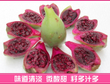 【三亚发货】海南三亚新鲜热带水果仙人掌果 仙人果5斤包邮空运