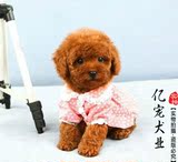 【亿宠】出售纯种泰迪贵宾幼犬 小型茶杯犬杯子狗宠物小狗狗活体
