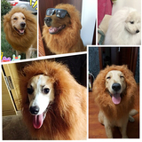 宠物狗狗狮子头套假发帽子 金毛变身装饰品头饰围脖狗发饰中型犬