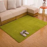 特价加厚水洗防滑可订制珊瑚绒地毯客厅卧室床边满铺地毯榻榻米垫