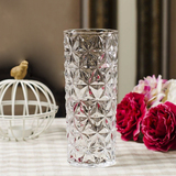 花瓶 客厅装饰摆件水培富贵竹百合花瓶大号加厚透明玻璃插花花器