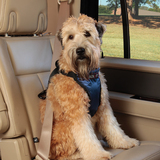 Solvit宠物车载安全带 狗狗汽车用品可伸缩胸背带大中小型犬狗绳