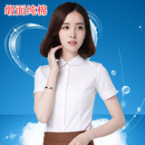 2016最新韩版纯棉娃娃领白色衬衫女半袖职业装工作服修身短袖衬衫