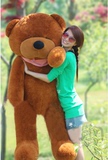 熊毛绒玩具2014新款上市1.6米国产害羞熊熊熊3岁以上1米2米公仔