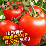 自然熟 新鲜有机蔬菜 西红柿 番茄 洋柿子 农家自种 不抹药