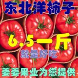 西红柿圣女果东北洋柿子新鲜蔬菜部分地区10斤包邮姜姜果业