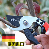 德国进口园林工具花剪修剪树枝果树剪子粗枝剪果修枝剪园艺剪刀