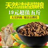幼猫粮包邮 海洋鱼味宠物食品2.5kg特价天然成猫粮猫主粮自制猫粮