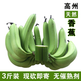 香蕉banana 广东高州新鲜水果青香蕉 非海南小米蕉芭蕉 3斤装包邮