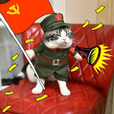 贝多芬宠物/日本Kojima猫姬宠物直立装变身装猫咪制服猫衣服 红军