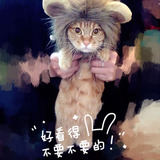 丛林之王小狗猫咪帽子宠物猫假发搞笑变身狮子头套泰迪蓝猫帽子